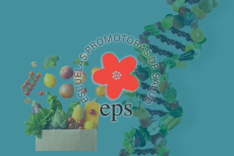 escuela promotora de salud